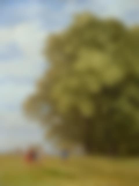 LANDSCHAFT (KUNDSCHAFTER AUS DEM LANDE KANAAN) (preview)