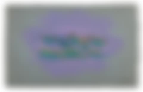 UNTITLED [SANS TITRE] (preview)