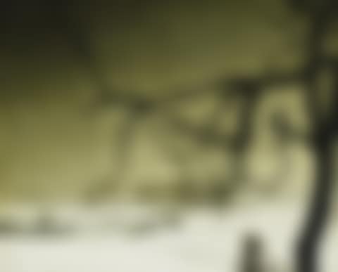 WINTER LANDSCAPE (preview)