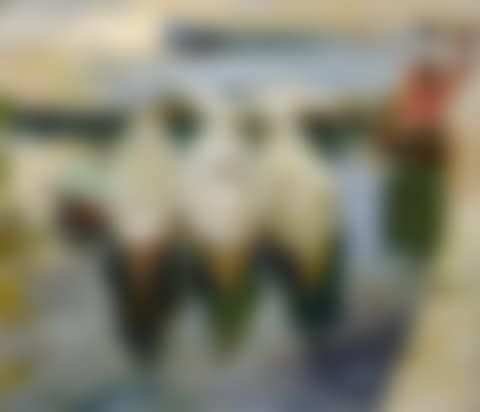 Puerto de Guetaria, País Vasco (The Basque Port of Guetaria) (preview)
