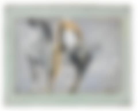 Cavallo e cavaliere (preview)