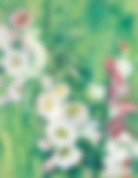 Hollyhocks (preview)