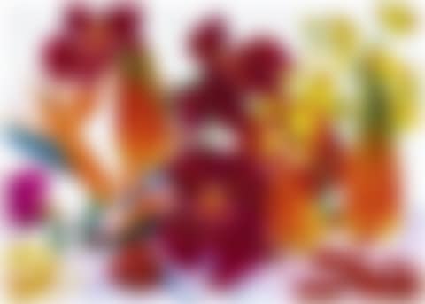 STRATOSPHERIC OZONE (preview)