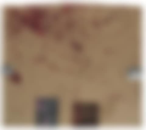 EXHM/DS20 (preview)