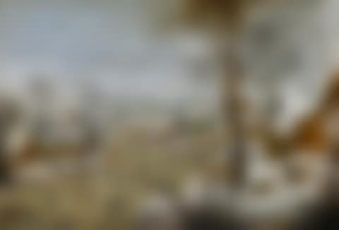 WINTER LANDSCAPE WITH A BIRD TRAP (preview)