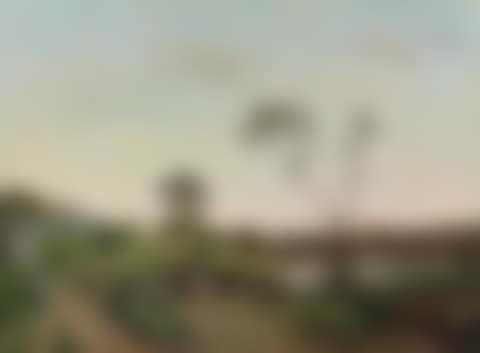 A sandy track in summer (preview)
