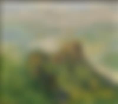 A view of the Aggstein castle ruins and the Danube (preview)