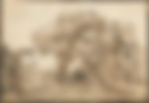 A carriage on a road flanked by trees (preview)