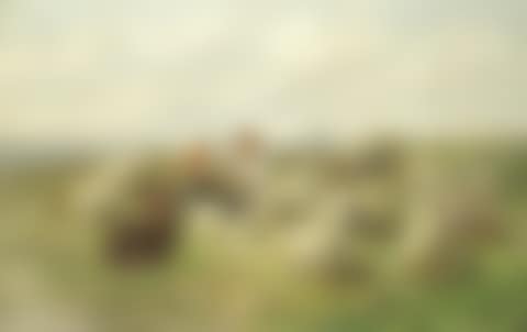Two boys playing cards on a hill with sheep, Paris in the distance (preview)