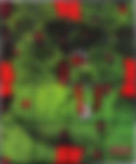 Bleed (preview)