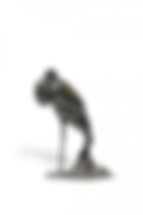 Cigogne at the rest (preview)