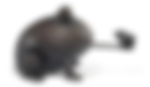 Frog with Bug (preview)