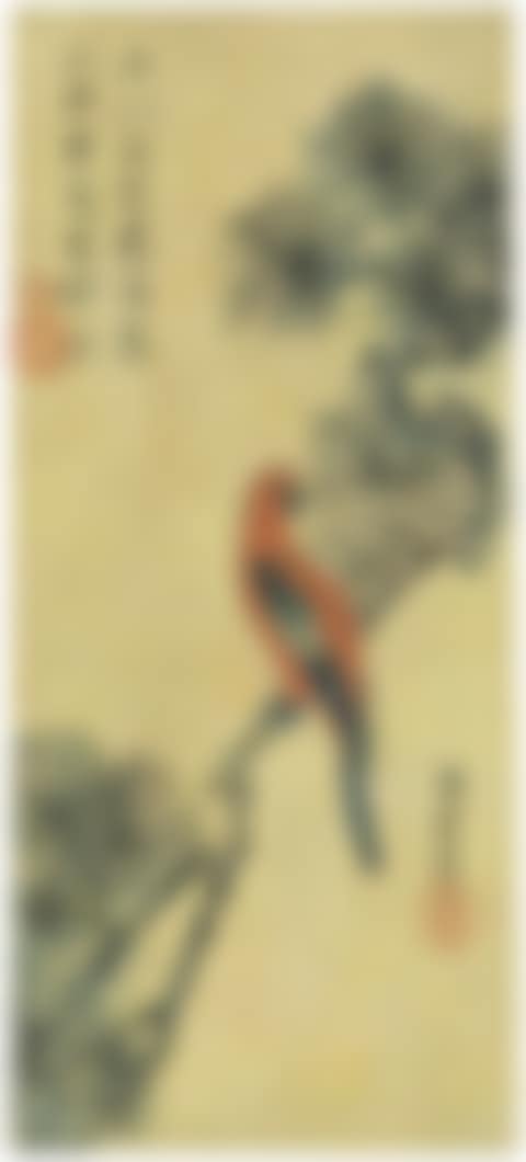Parrot on a pine branch (preview)