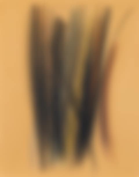 Untitled (preview)