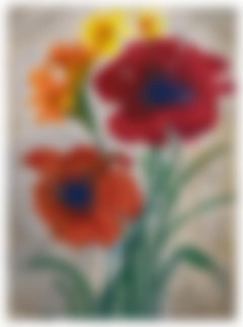 Roter Mohn (Mohnblumen, Iris und Sonnenhut) (preview)