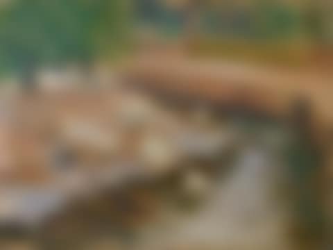Enten am Weiher (preview)