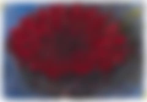 Rote Blüte (preview)