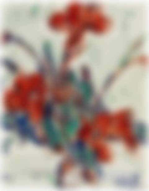 Canna indica (preview)