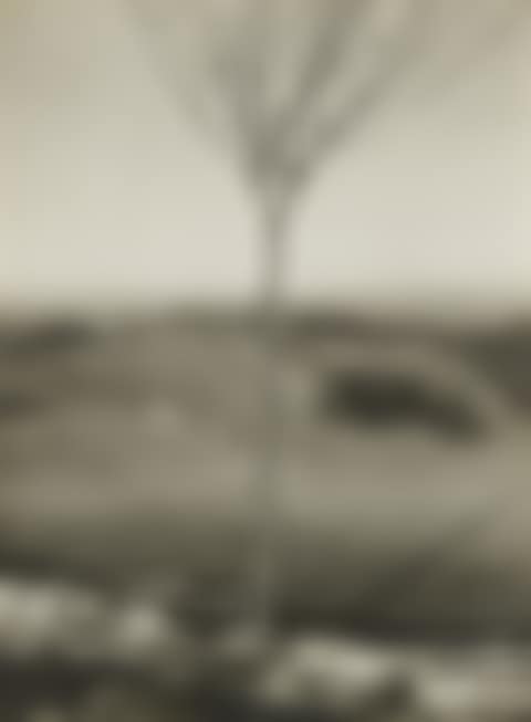 Das Bäumchen (The Little Tree) (preview)