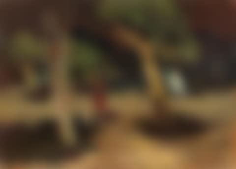 Sera al parco (preview)