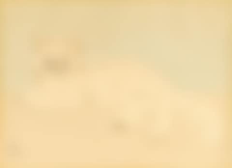 The White Cat (preview)