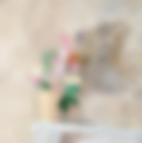 PENSTEMONS (preview)