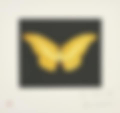 To Lure (preview)