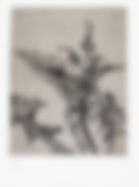 THISTLE (preview)