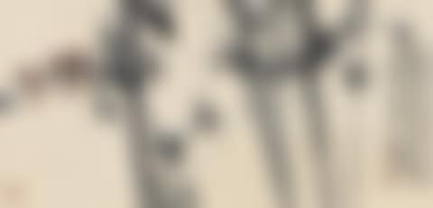Sparrow (preview)