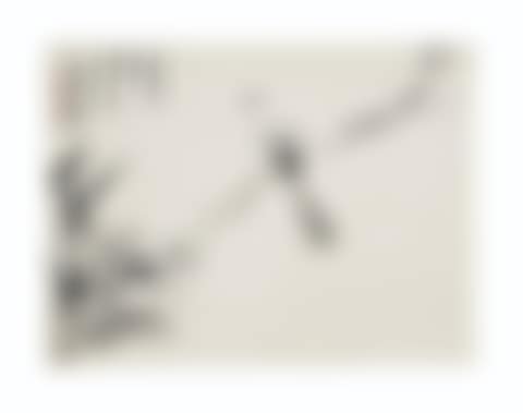 Bamboo and Bird (preview)