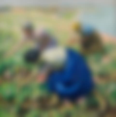 Tulip pickers (preview)