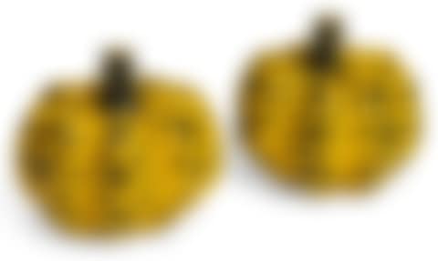 Untitled (Two Miniature Pumpkins) (preview)