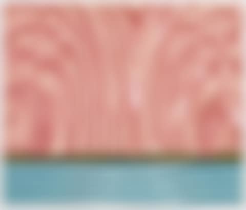 Landscape 5, from: Ten Landscapes (preview)
