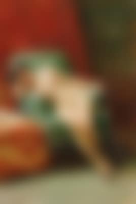 The Model (preview)