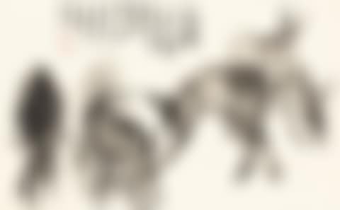 SIX DONKEYS (preview)