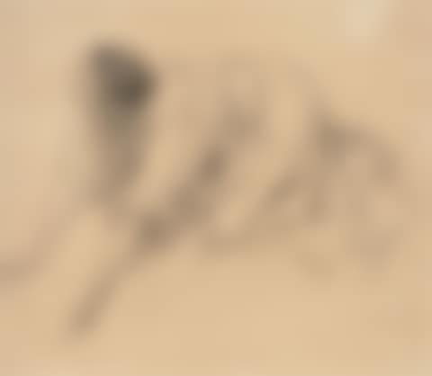 Study of kneeling woman (preview)