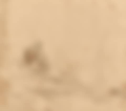Peasant woman pensive in a landscape (preview)