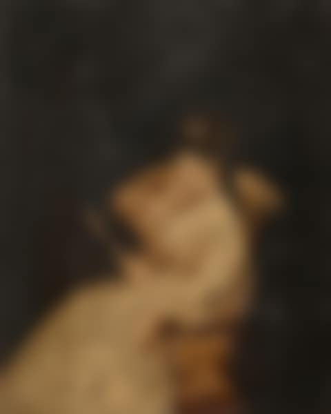 Woman reading in a large chair (preview)