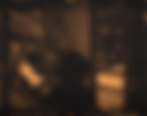 Artist and Model (preview)