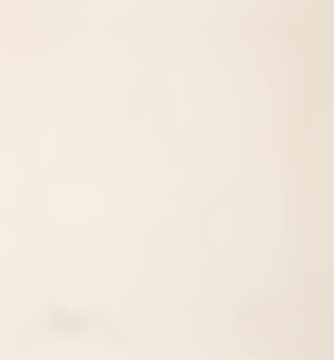 Untitled (A. 301) (preview)
