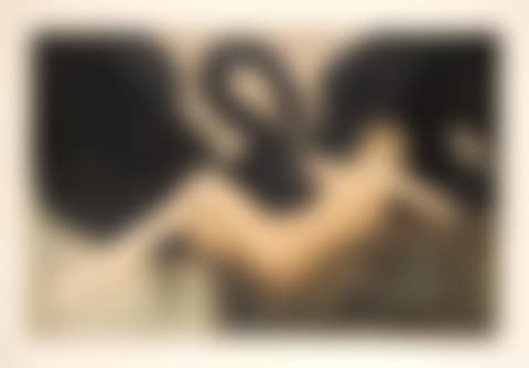 Leda and the Swan (H., C. & I. 436) (preview)