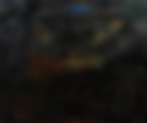 Borders Landscape (preview)