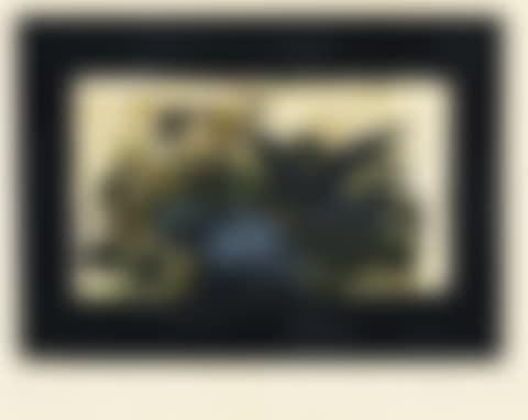 Le Nid Vert (preview)