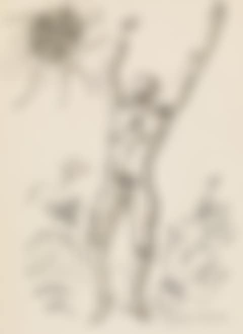 Study For "l'aspiration" (preview)