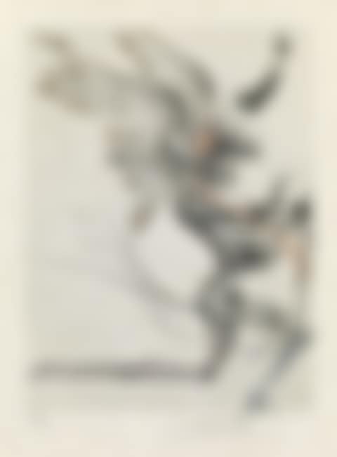 La Venus Aux Fourrure (preview)