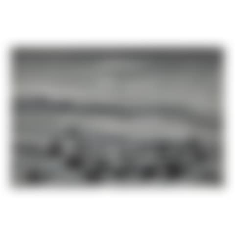 STUDY FROM NATURE (STUDY FOR 'THE WHITE HORSE BY THE GATE') (preview)