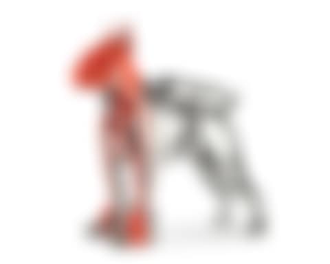 Cloned Bulldog with pet bottle (coral) (preview)