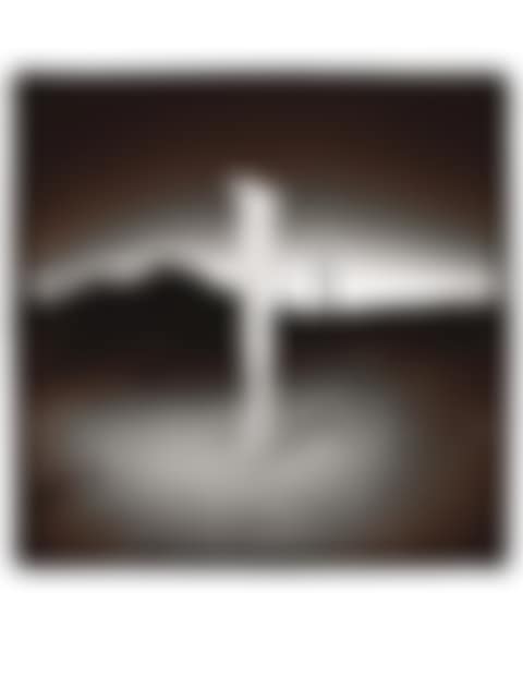 Untitled (Saguaro) (preview)