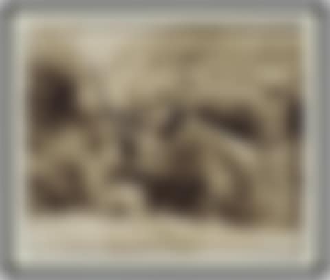 World-Class Black Rhino, Aberdare Forest, 1972 (preview)