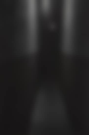 Hallway, New York (preview)